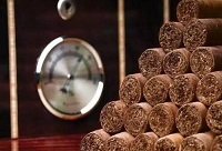 ѩ�у�(ch��)�ص�Ҫ�c(di��n)