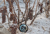 ���Ƶı�����̫��������ԓ��ô�ȣ�