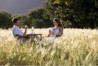 �����ѵ��������xһƿ�����Ѿư���