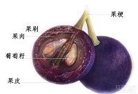 ���ѾƆΌ������ϵĂ��f