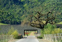 ���Ѿ��f�O(sh��)Ӌ(j��)�����f���Ծ��f