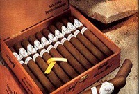 ������΃�(ch��)��ѩ��