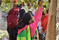 �ž������Ʒһ���r���������Ѿ�