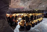 ʲô�ǽѲؾƸ�λ������֪������